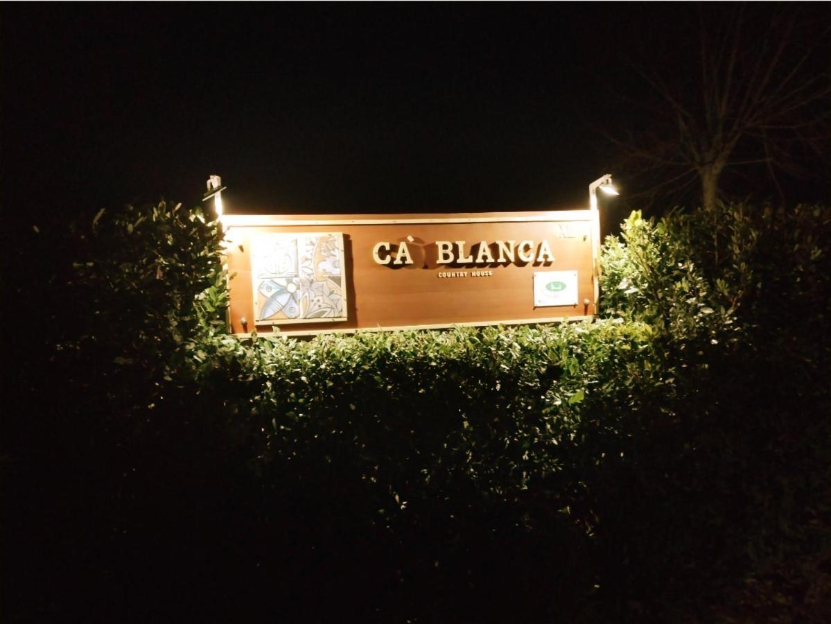 Ca' Blanca Bed & Breakfast Кастелнуово дел Гарда Екстериор снимка